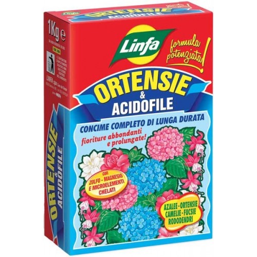 Ortensie e acidofile