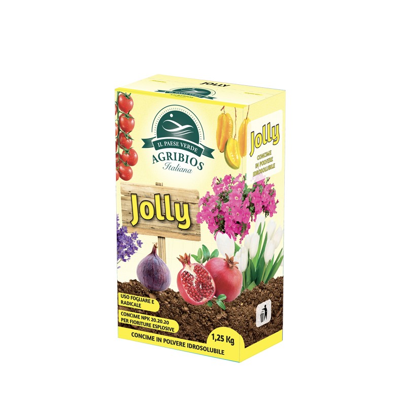 Jolly Po Astuccio