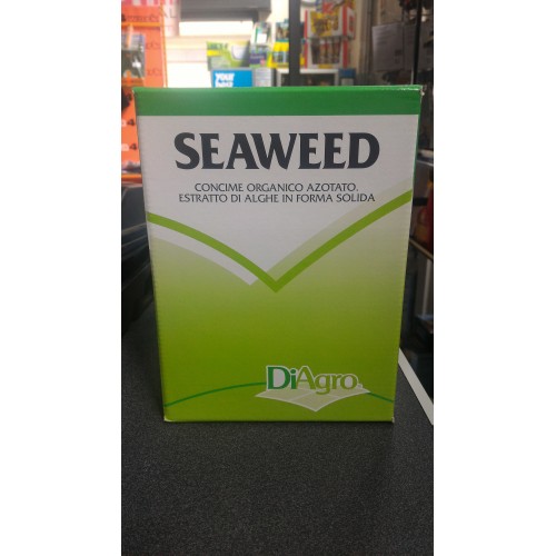 Seaweed